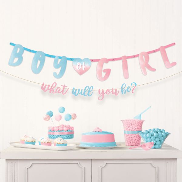 Gender Reveal Banner Set