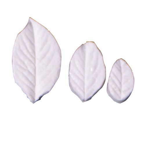 SQ Leaf Veiner