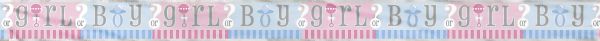 Gender Reveal Folienbanner 365 cm